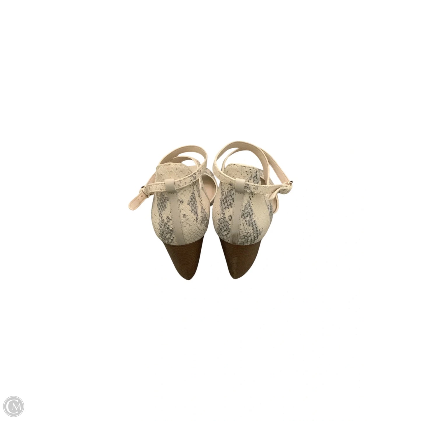 Shoes Heels Wedge By Cole-haan In Snakeskin Print, Size: 9