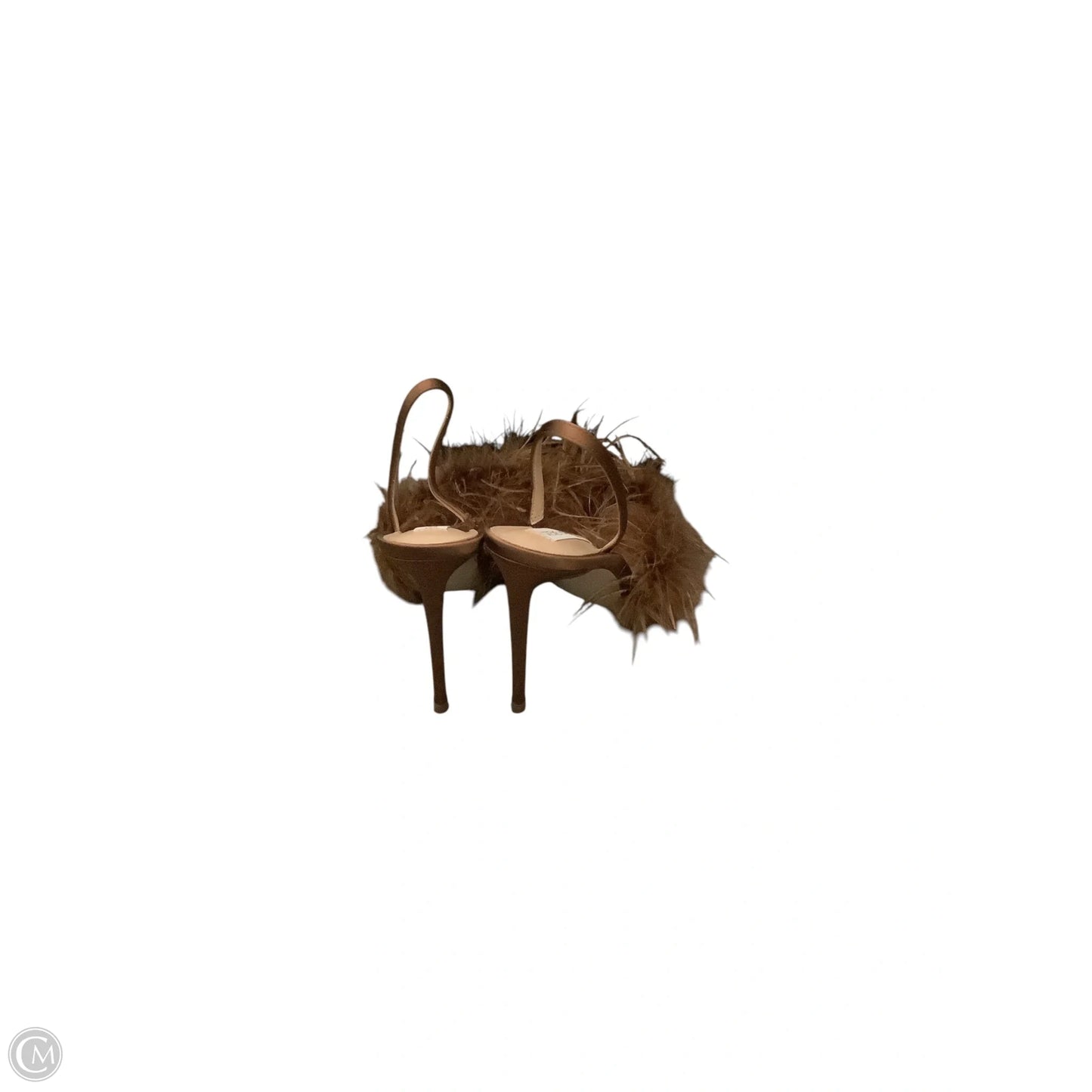 Shoes Heels Stiletto By Steve Madden In Brown, Size: 8