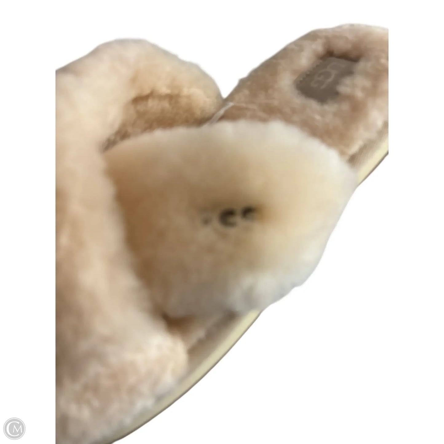 Slippers Designer By Ugg In Cream