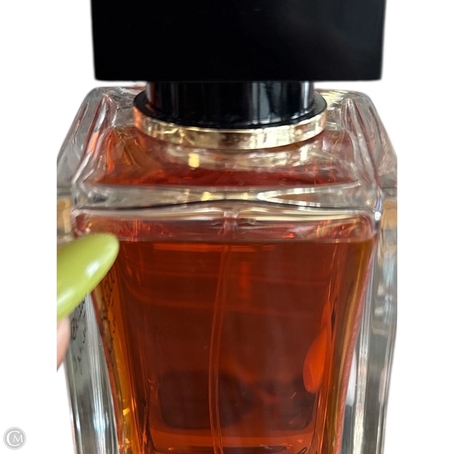 Fragrance Luxury Designer By Dolce And Gabbana