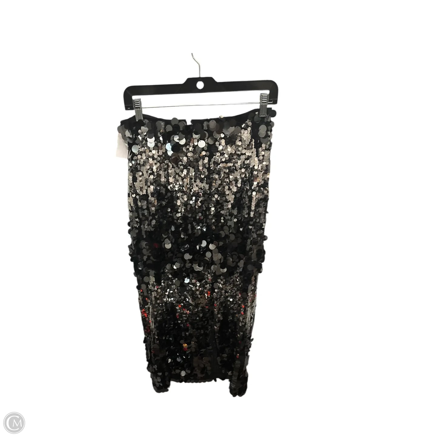Skirt Maxi By Zara In Silver, Size: M
