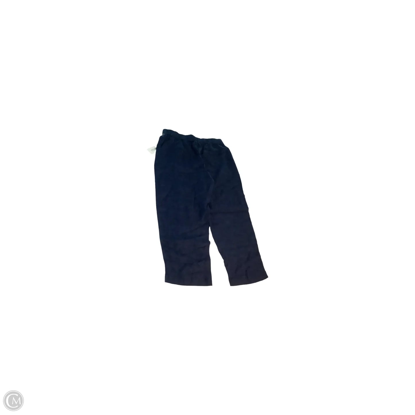 Pants Linen By Haven In Blue, Size: L