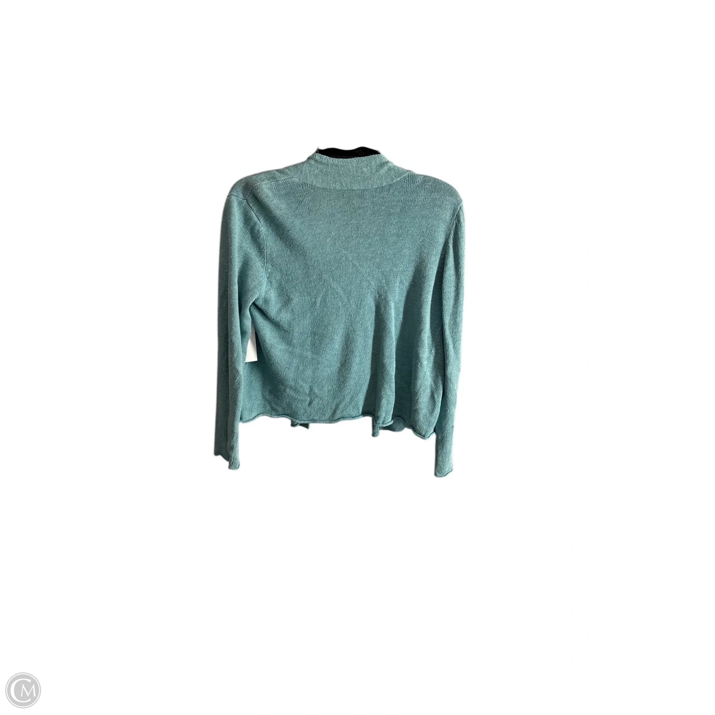 Top Long Sleeve By Eileen Fisher In Aqua, Size: Mp
