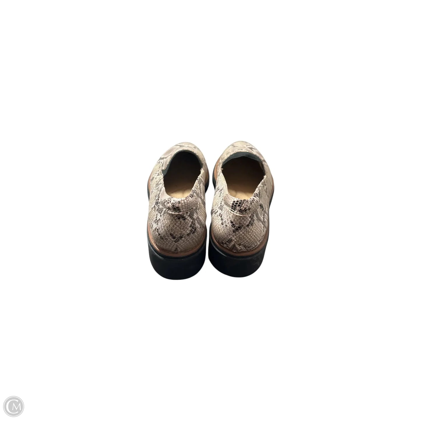 Shoes Flats By Clarks In Snakeskin Print, Size: 10