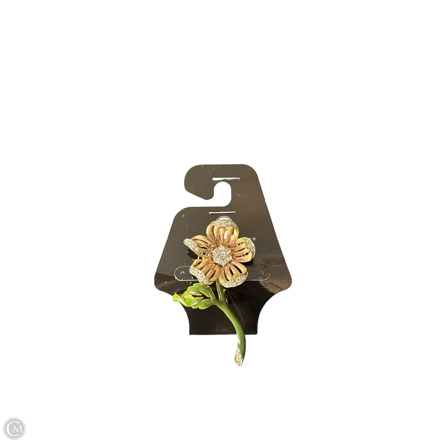 Pin By Cma