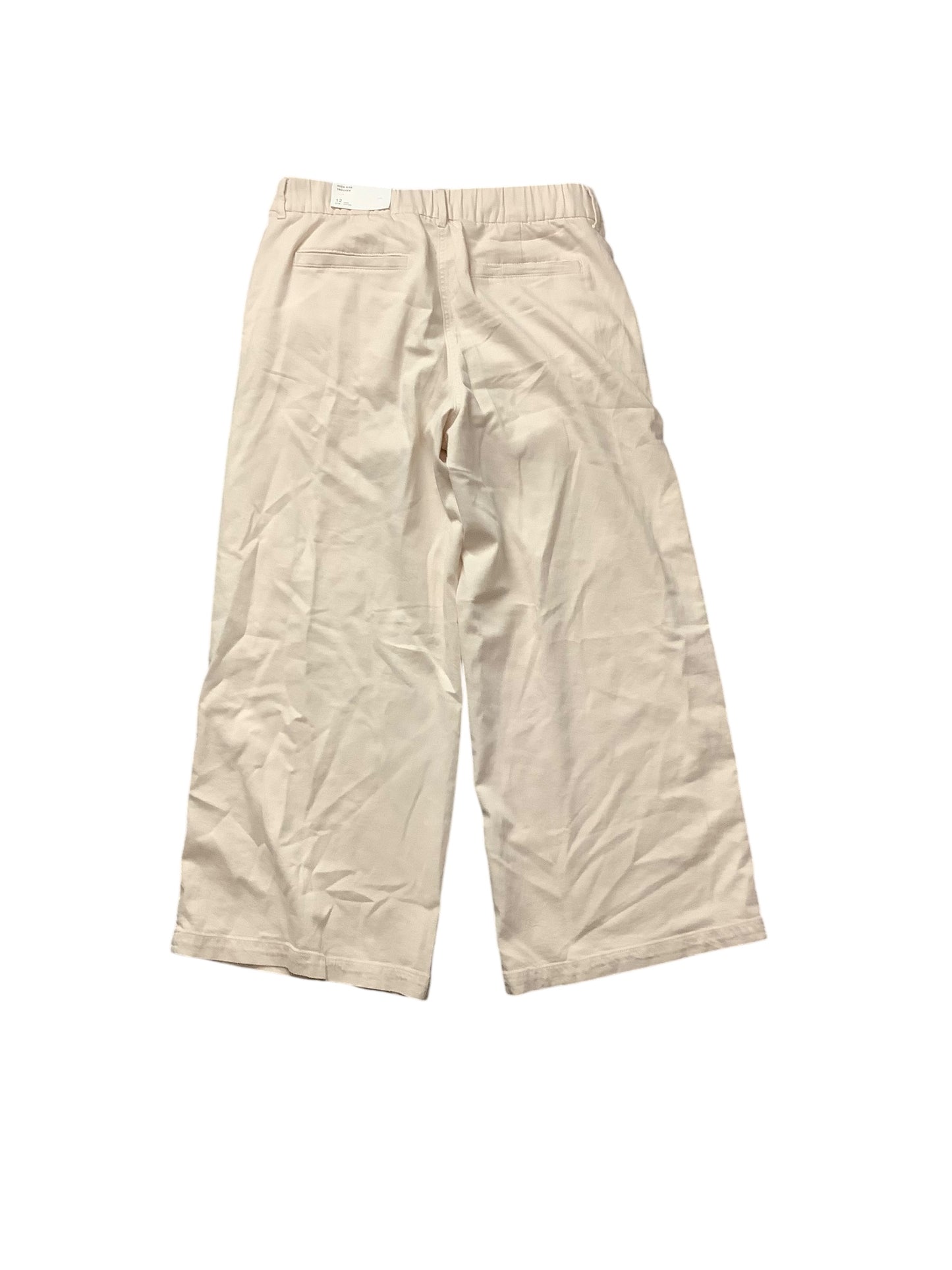 Pants Chinos & Khakis By American Eagle In Tan, Size: 12