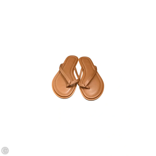 Sandals Flats By J. Crew In Brown, Size: 8
