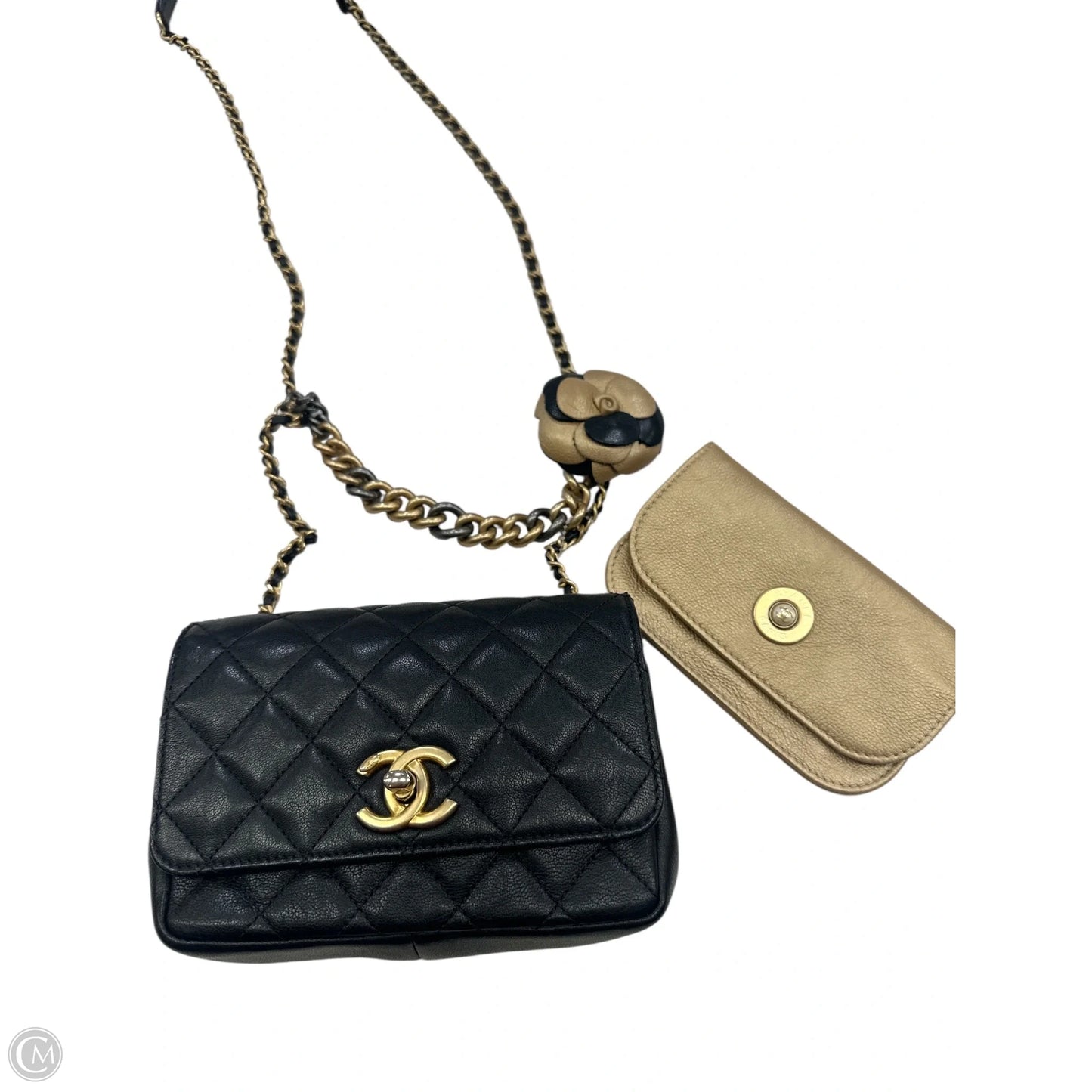 Handbag Luxury Designer By Chanel, Size: Small