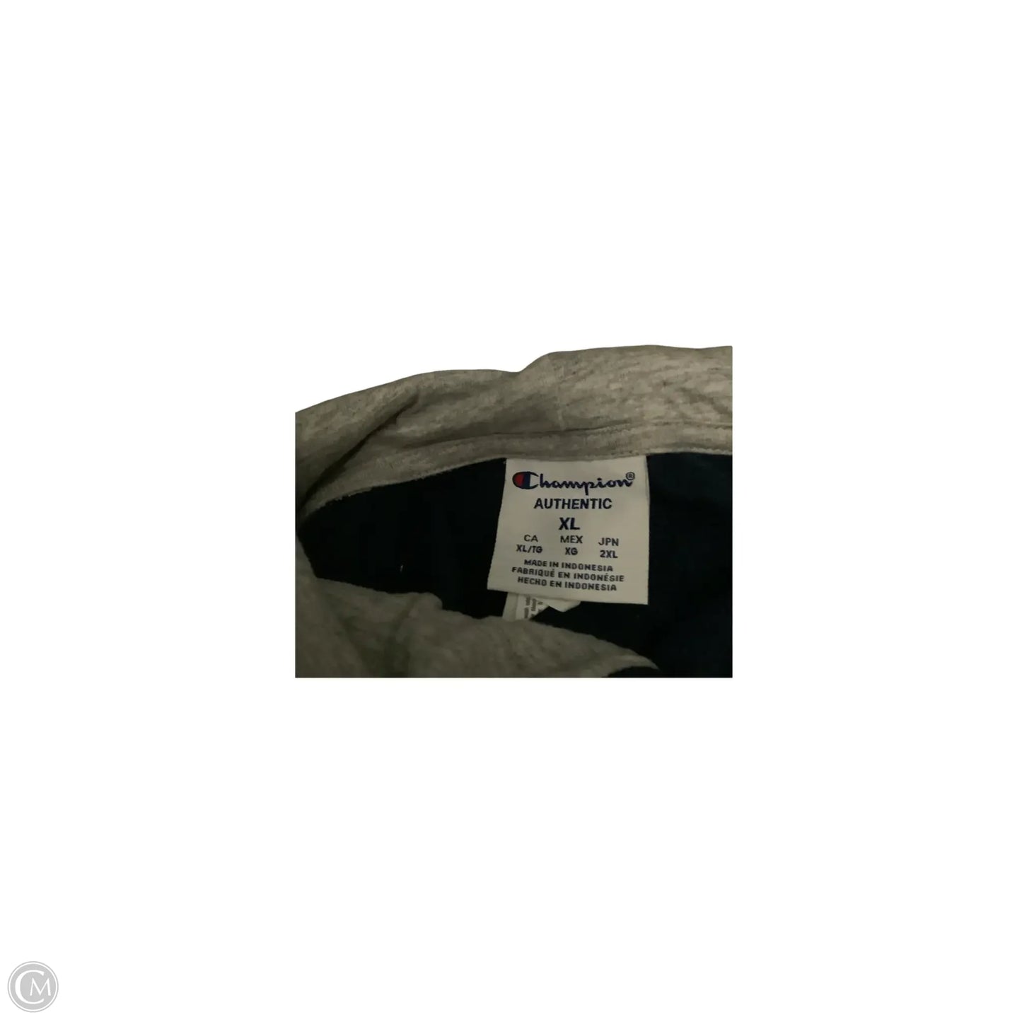 Sweatshirt Hoodie By Champion In Blue, Size: Xl