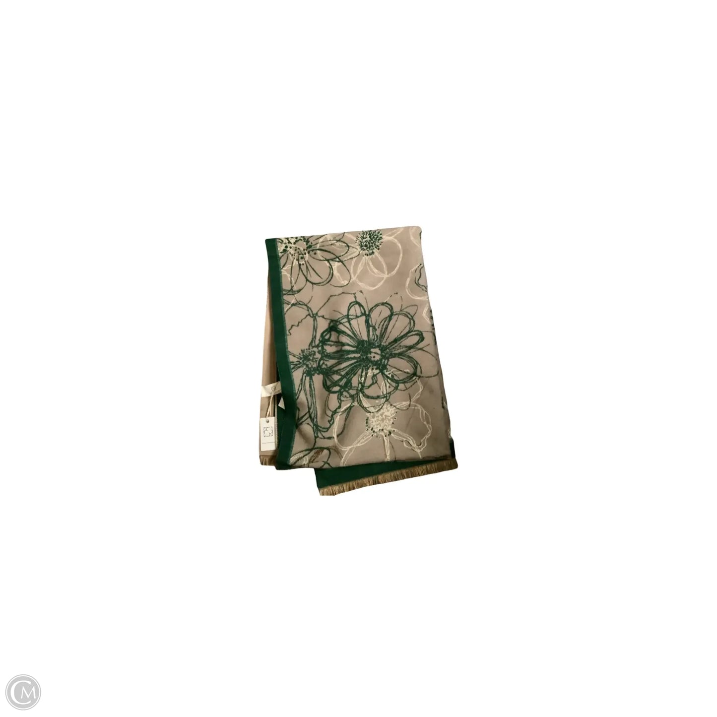 Scarf Winter By Clothes Mentor In Green & Tan