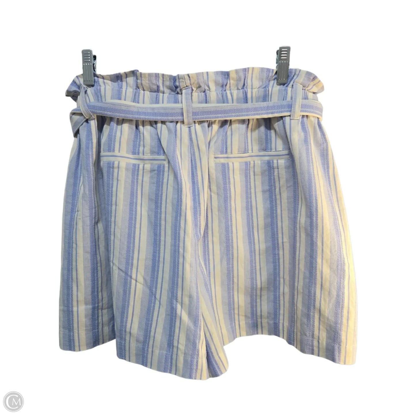 Shorts By Express In Blue & White, Size: L