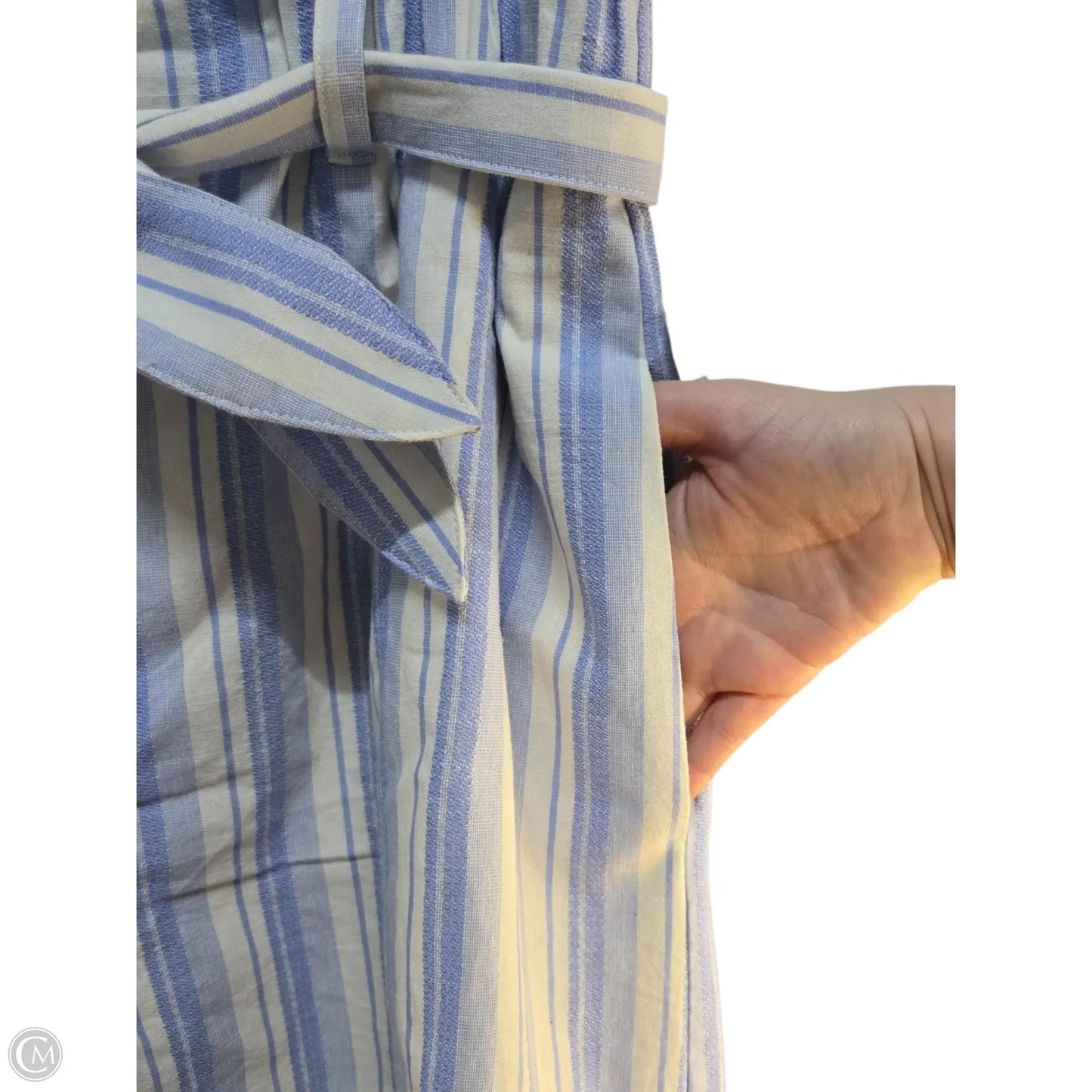 Shorts By Express In Blue & White, Size: L