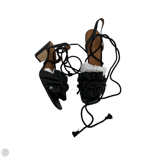 Shoes Designer By Tory Burch In Black, Size: 10