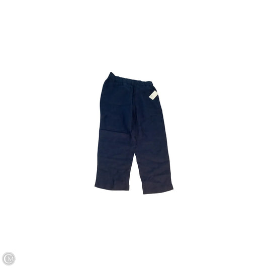 Pants Linen By Haven In Blue, Size: L