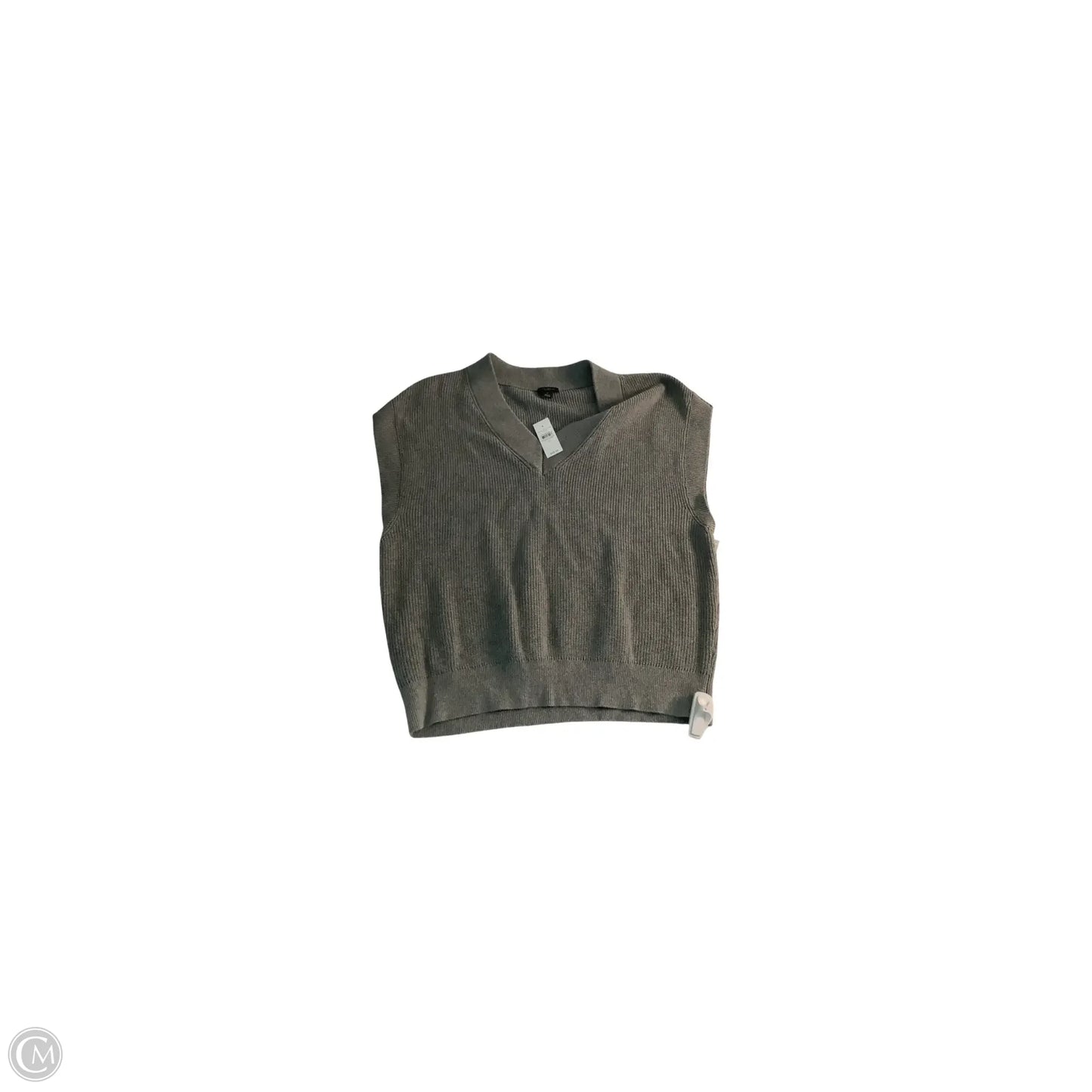 Top Sleeveless Basic By Ann Taylor In Grey, Size: Xl