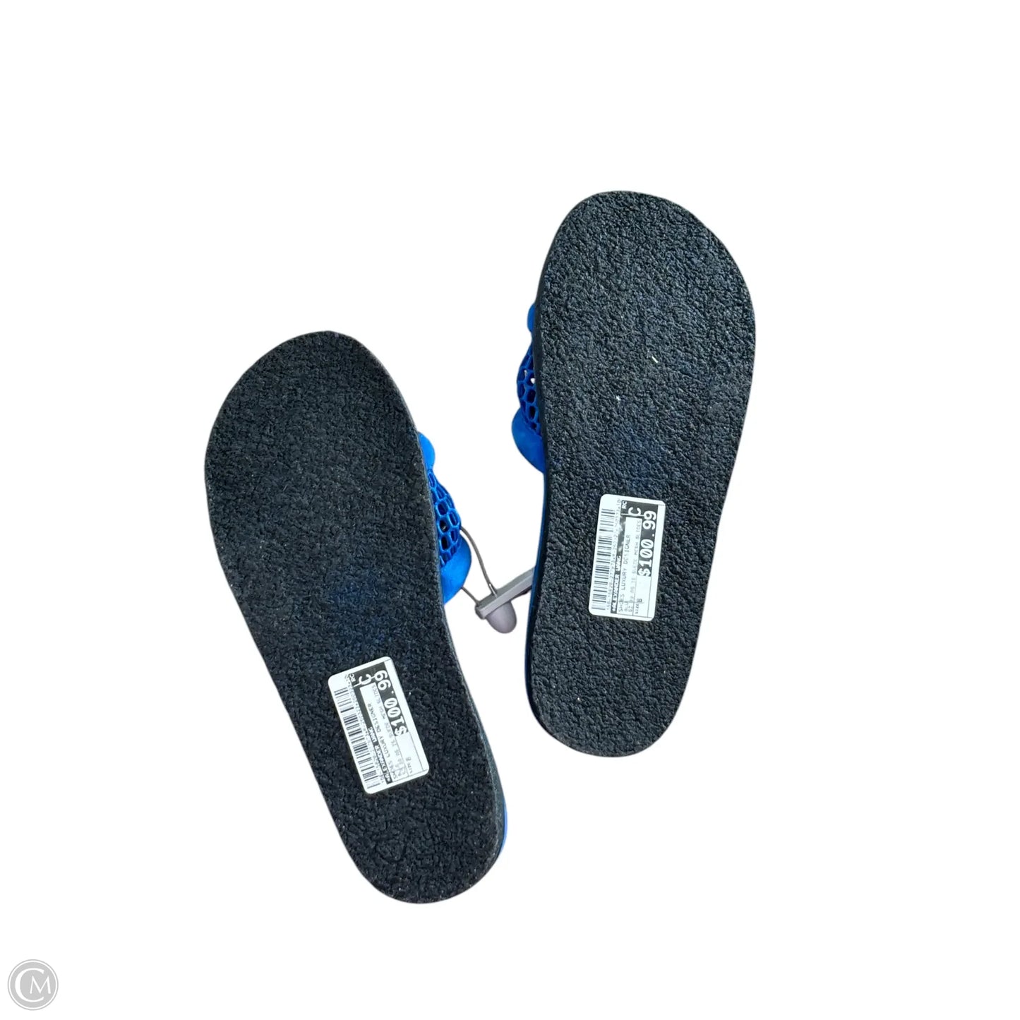Shoes Luxury Designer By Alexander Wang In Blue, Size: 8