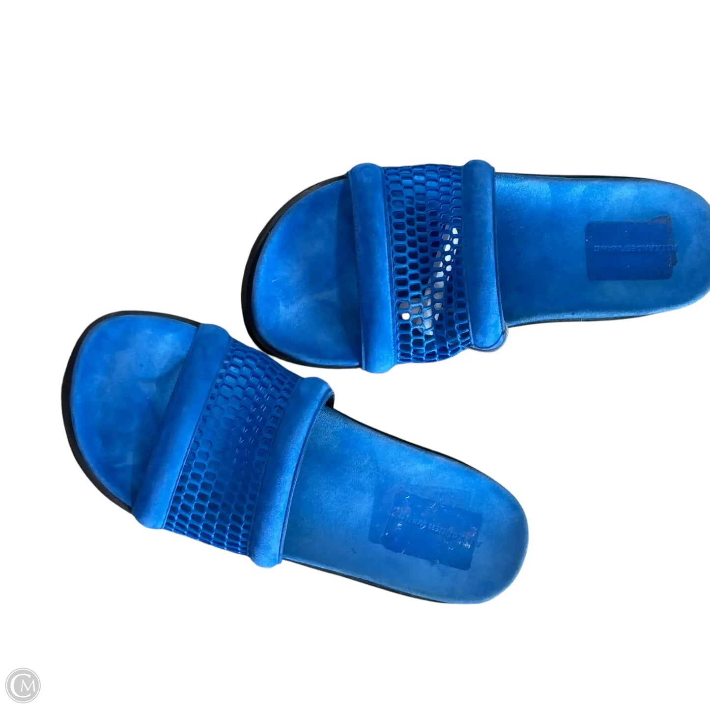 Shoes Luxury Designer By Alexander Wang In Blue, Size: 8