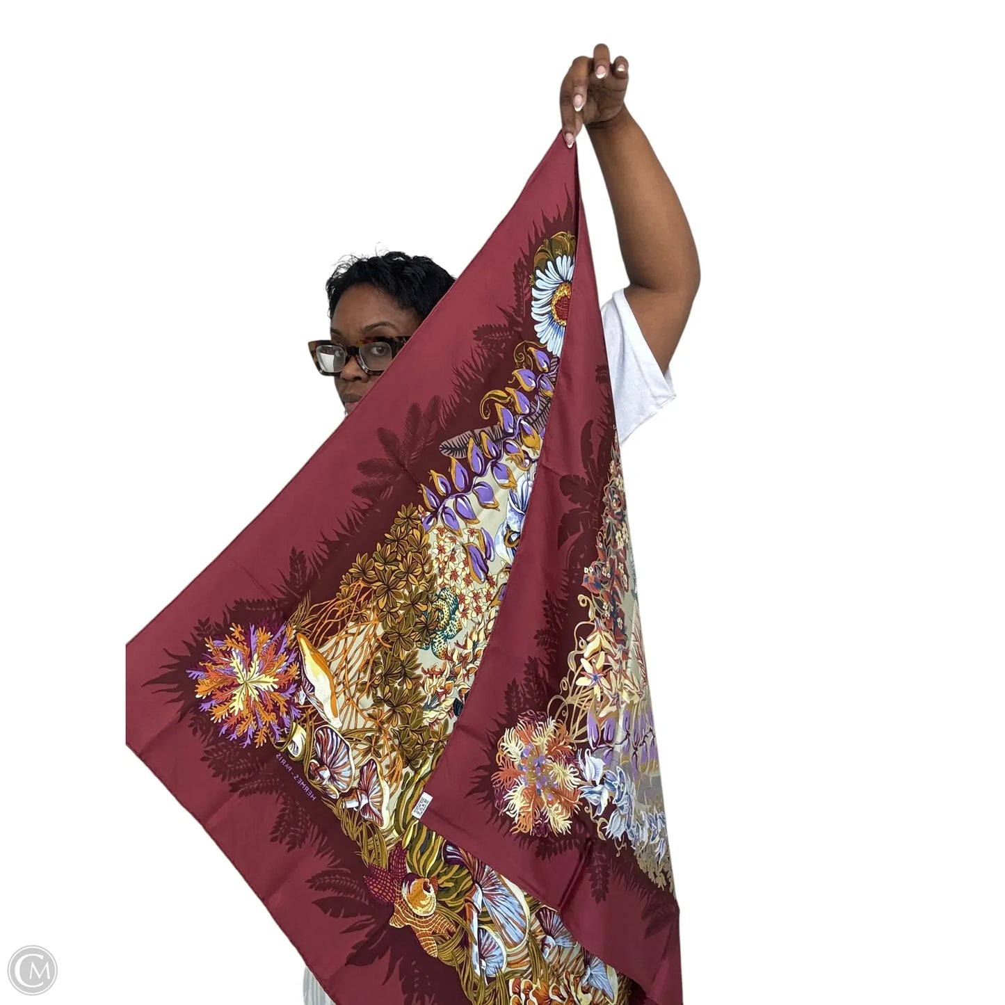 Scarf Luxury Designer By Hermes