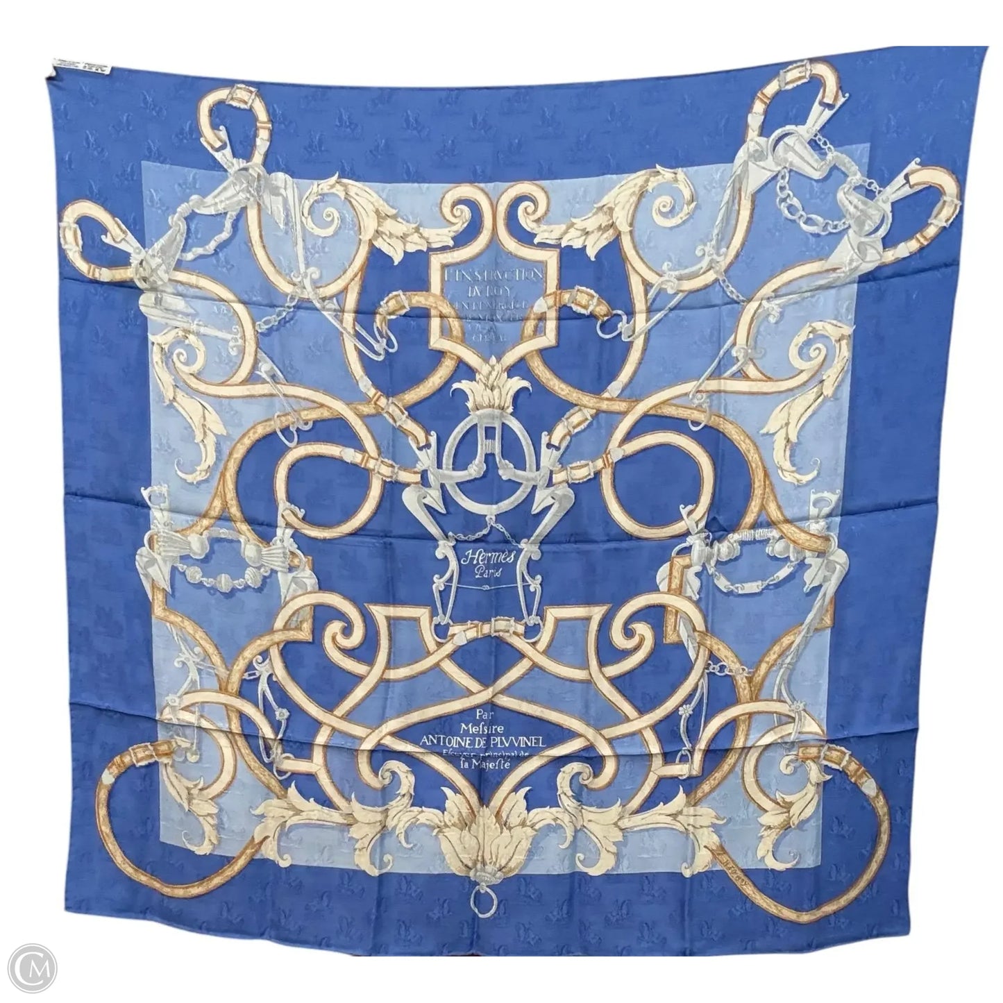Scarf Luxury Designer By Hermes