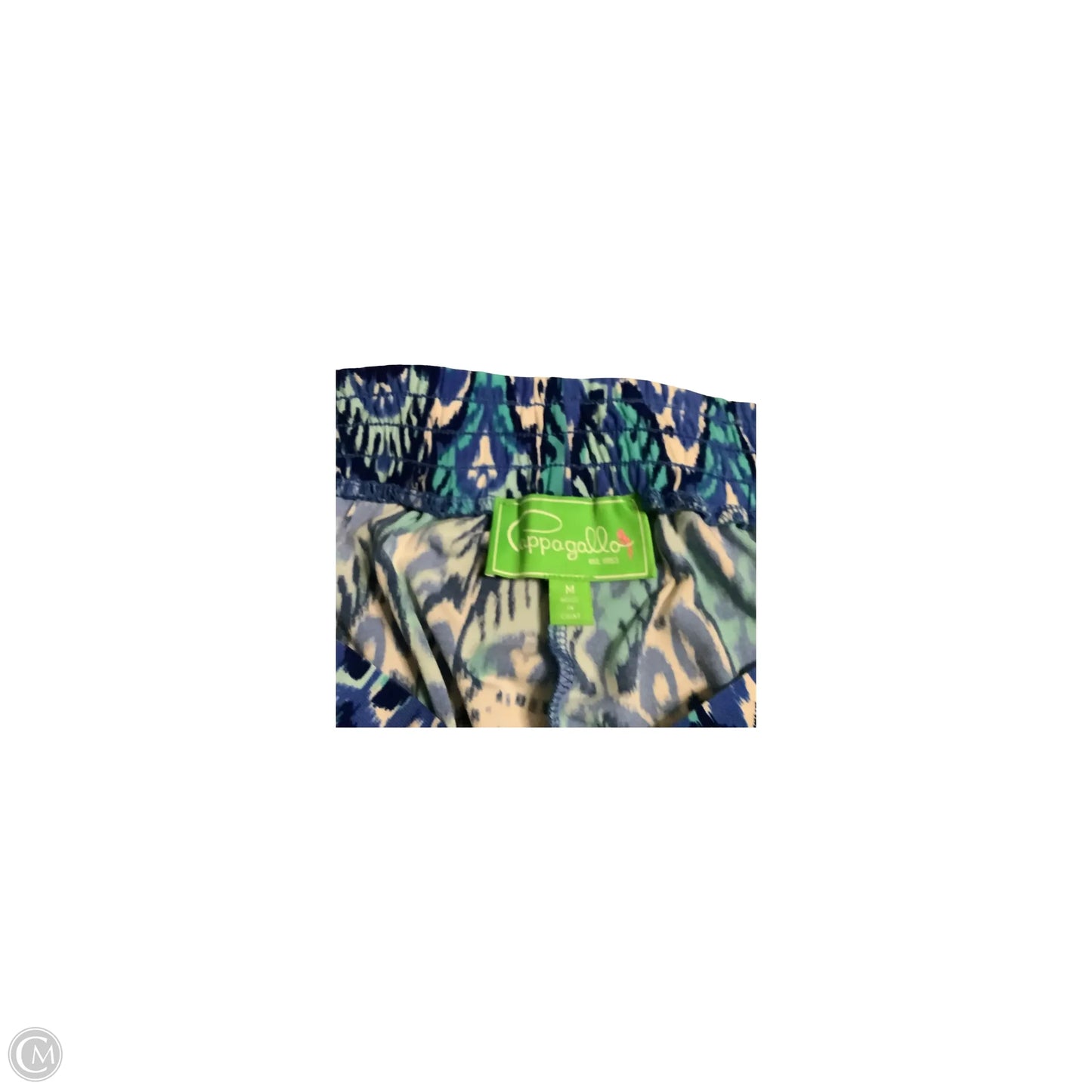 Pants Set 2pc By Cappagallo In Blue, Size: M