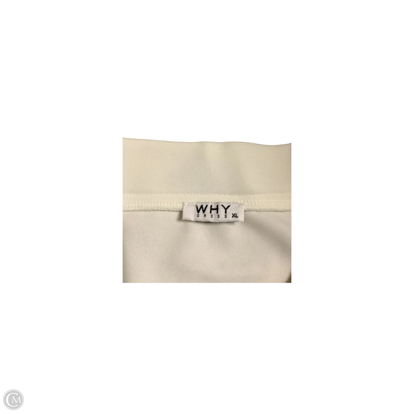 Skirt Maxi By Why Dress In Ivory, Size: Xl