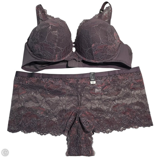 Bra By Cacique In Purple, Size: 44C