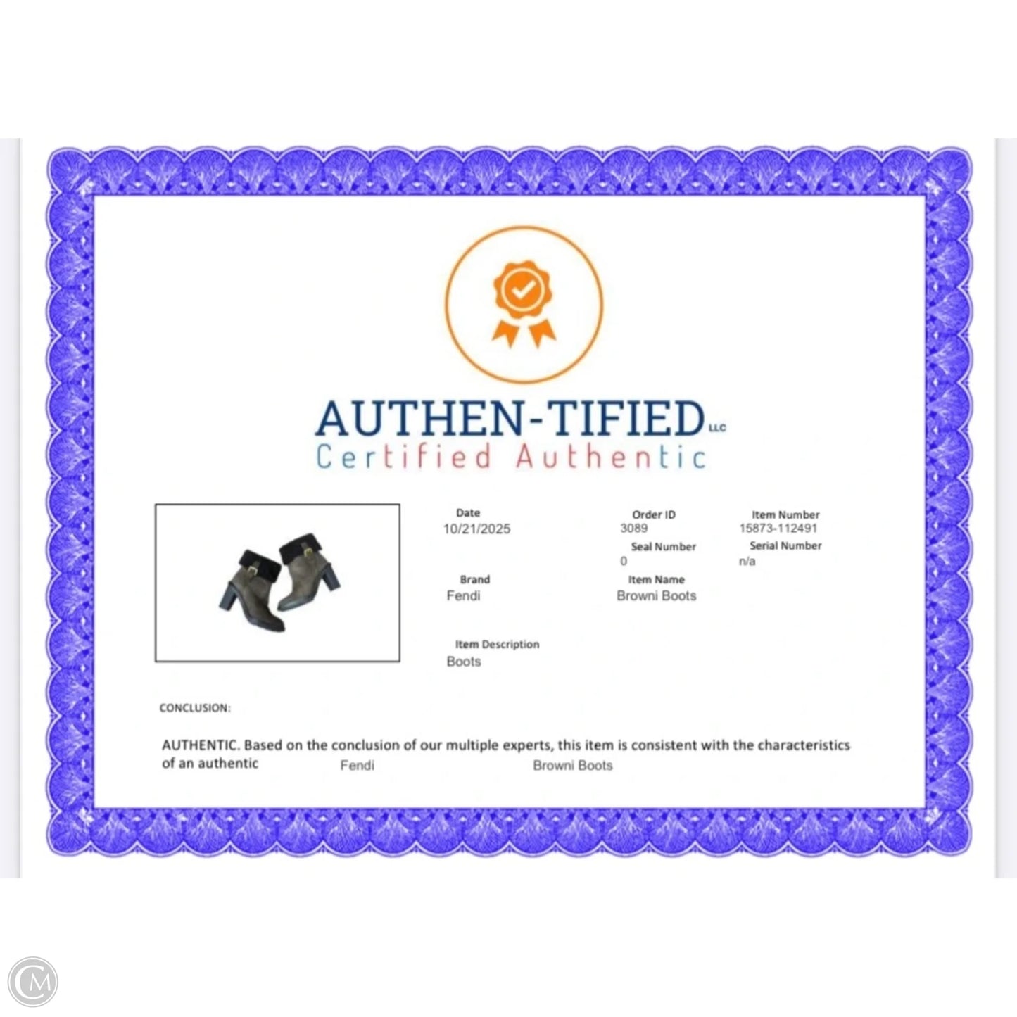 Boots Luxury Designer By Fendi In Brown